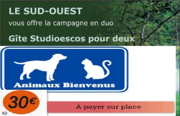 Gite Le Trefle Studioescos Εξωτερικό φωτογραφία